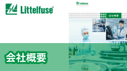 littelfuseの会社概要